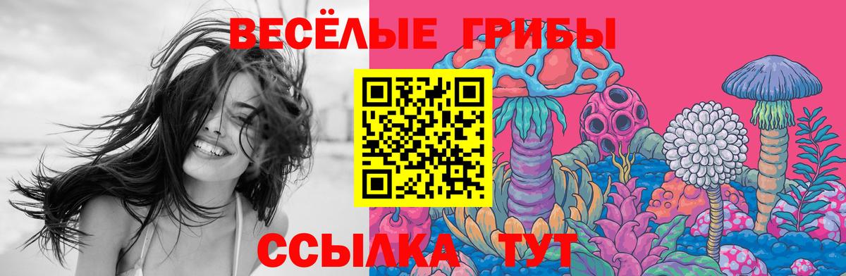 Псилоцибиновые грибы Magic Shrooms  Вход с VPN  Славгород 